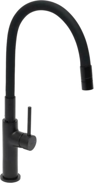 Swiss Aqua Technologies Küchenarmatur Einhebelmischer mit hohem Auslauf in Schwarz Matt, Höhe: 24,5 cm, Tiefe: 19,0 cm - Bild 1