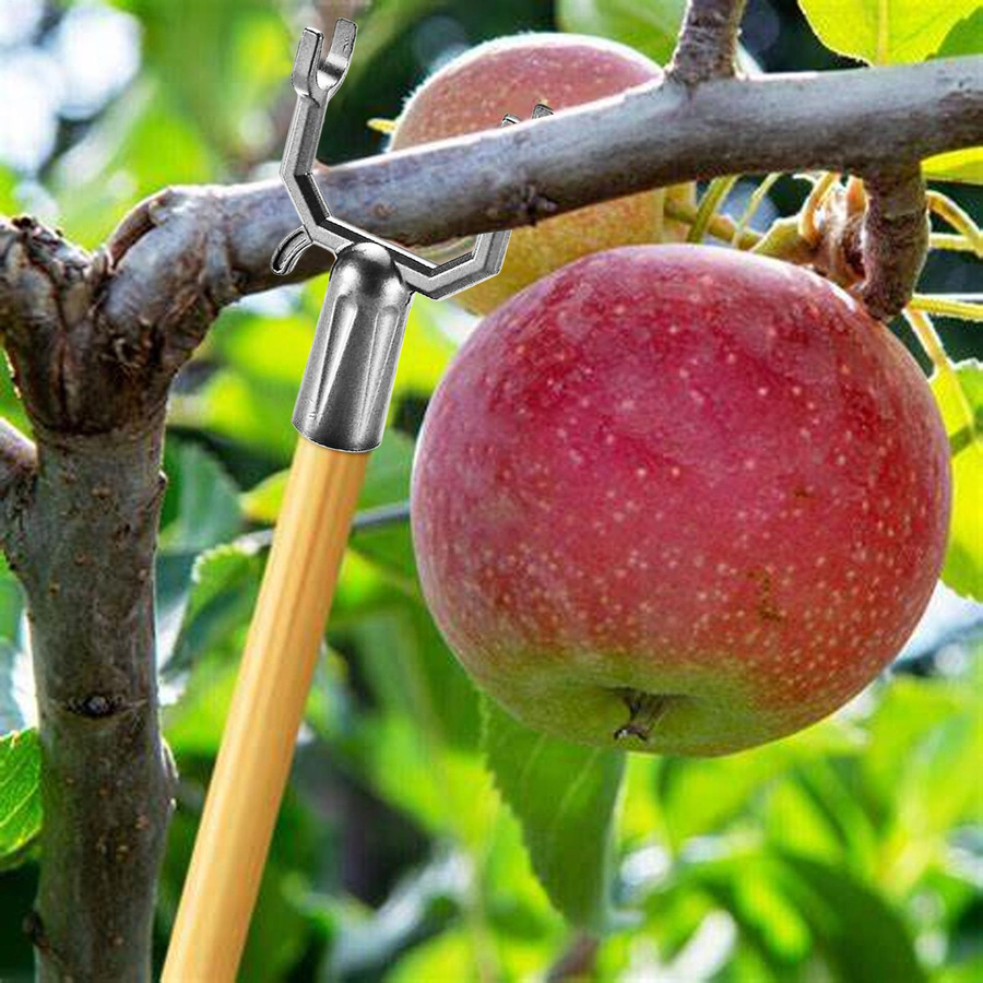 Bloom Habitat Baumaststütze Baumkrücke als Stützvorrichtung und Richtwerkzeug in Silber - Bild 4