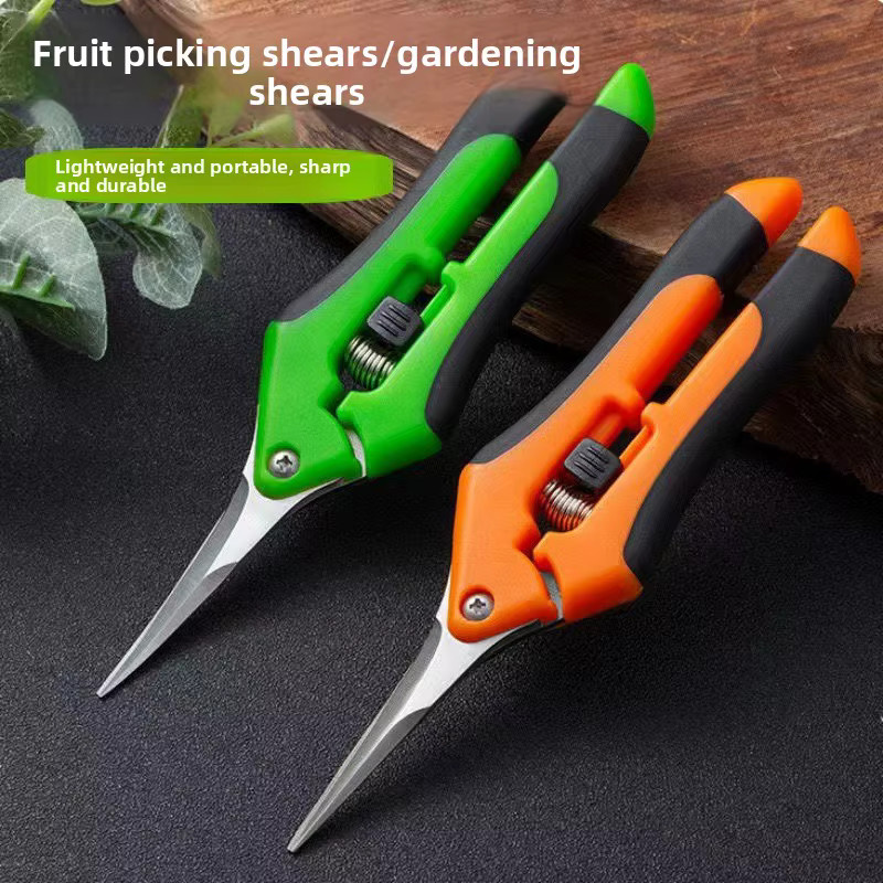 QHSPE Obstpflückschere für den Garten in Multicolour - Bild 3