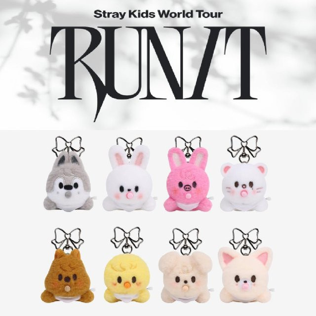 Stray Kids SKZOO Secret Aufzieh-Plüschtier, 5er Set - Bild 1