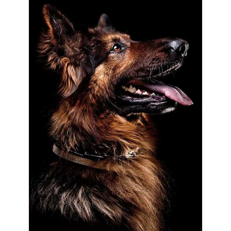 HUACAN Diamantmalerei Hund Schwarz Tier als 5D Kreuzstich Mosaik Bild mit runden Steinen in Mehrfarbig - Bild 4