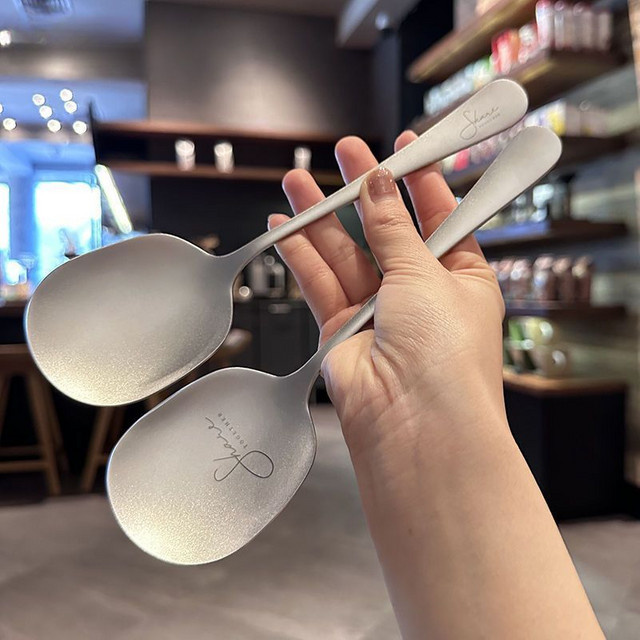 PGY Servierlöffel aus Edelstahl in Silber Matt für Buffet und Restaurant - Bild 1