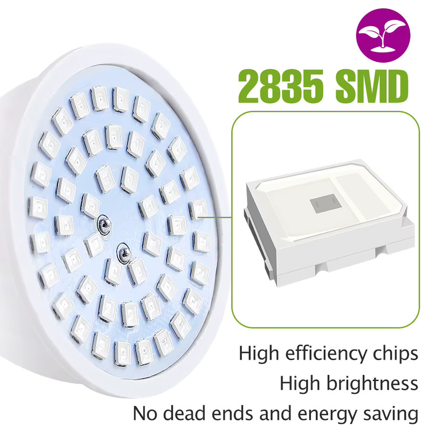 9W LED Vollspektrum-Wachstumslampe E27 in Weiß für Hydrokultur und Sukkulenten im Innenbereich - Bild 2