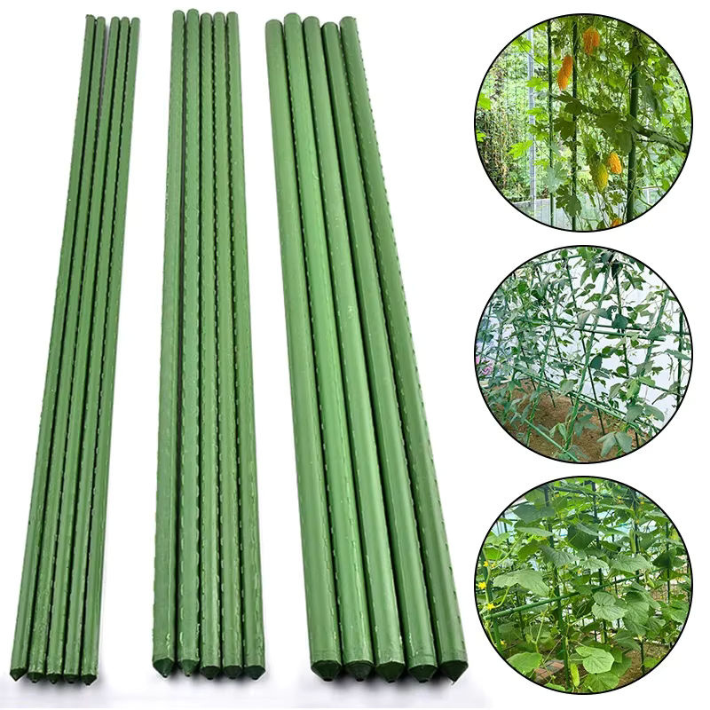 Grüne Pflanzenpfähle aus kunststoffbeschichtetem Stahl für Kletterpflanzen, Obst und Gemüse, Länge: 60 cm - Bild 7