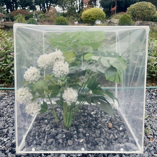 Mini-Gewächshaus für drinnen und draußen mit transparenter PE-Abdeckung als isolierter Pflanzenschutz und Frostschutz, B/T/H: 60 x 40 x 40 cm - Bild 1