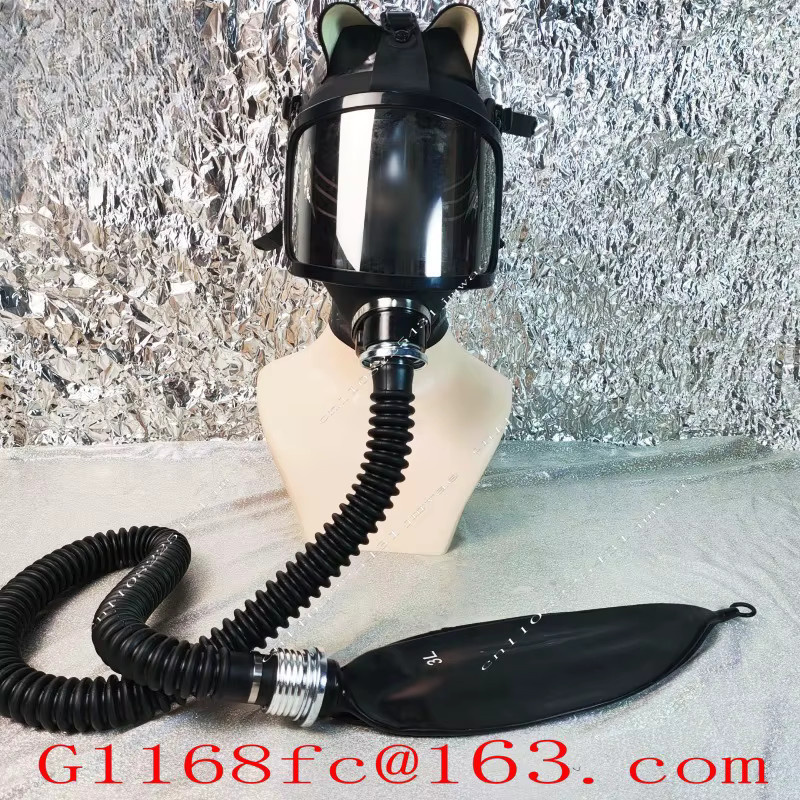 Versilbertes Gebogenes Gasmasken-Set mit Atemschutzbeutel-Linse und Vollgesichtsmaske in Silber und Schwarz - Bild 4