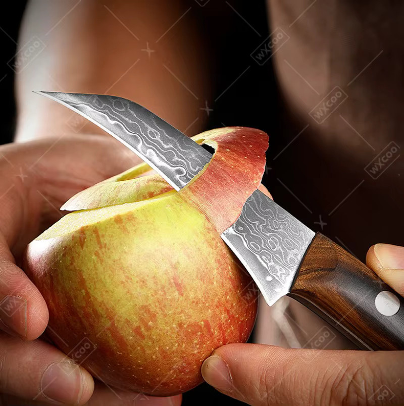 WXCOO Damaszener Stahl Obstmesser mit Holzgriff, 3,5 Zoll Schälmesser für die Küche - Bild 3