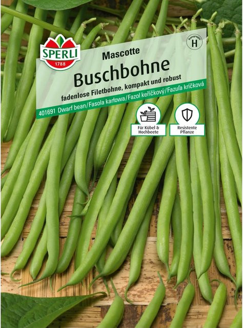 Sperli Buschbohne Mascotte Gemüse - Bild 1