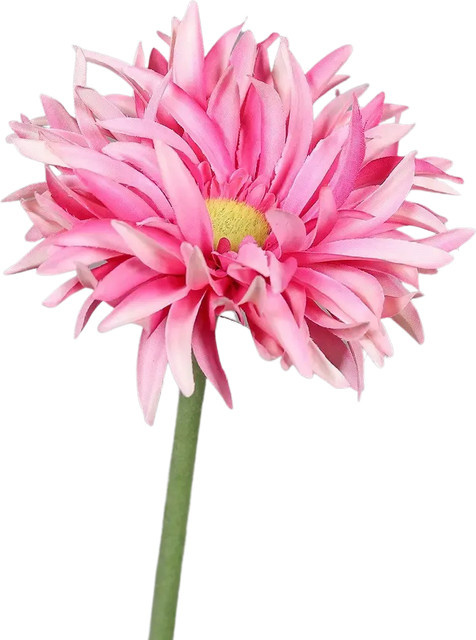 Künstliche Gerbera Buggy von Aplanta, Höhe: 57 cm - Bild 1