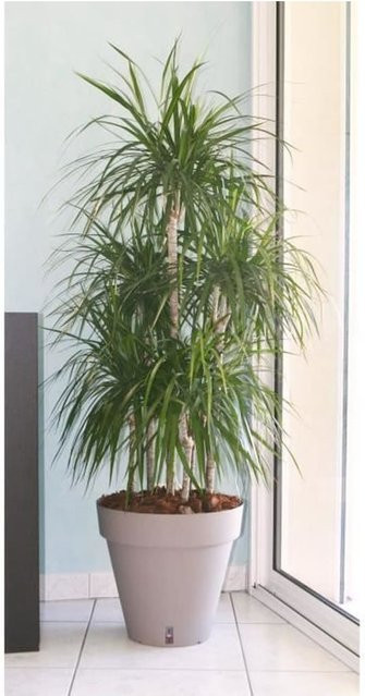 RIVIERA Riviera Loft Blumentopf mit Wasserreservoir Rund Durchmesser: 50 cm, Höhe: 46 cm von Atape - Bild 1