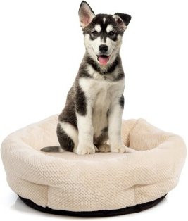 Wallace & Jones Hundebett Cloey M in Beige mit erhöhter Kante und rutschfester Unterseite, B/T/H: 60 x 60 x 20 cm - Bild 1