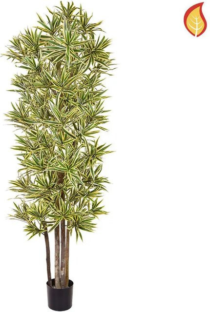 Künstliche Dracaena Mathias von Aplanta, Höhe: 180 cm - Bild 1