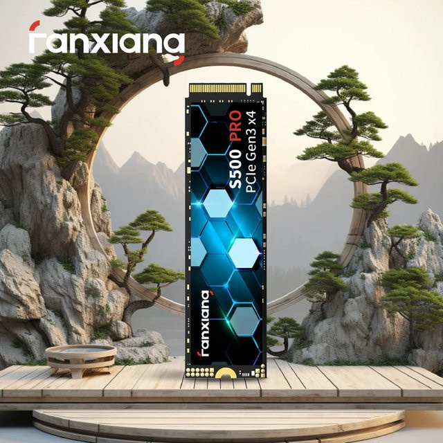 Fanxiang S500 Pro NVMe M.2 SSD internes Solid State Laufwerk PCIe 3.0 - Bild 1