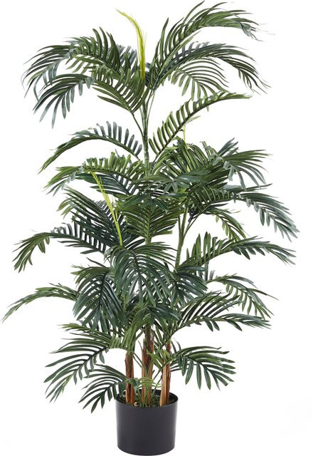 Künstliche Palme Kaelani von Aplanta, Höhe: 135 cm - Bild 1