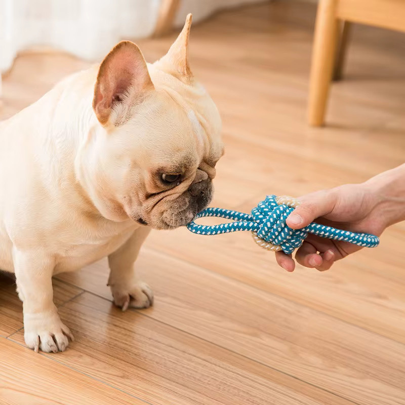 Mini-Hundespielzeug Interaktiver Baumwollseil-Kauball Zahnbürste Welpenspielzeug - Bild 1