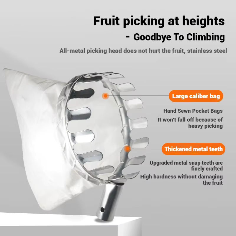 Langlebiger Obstpflücker aus Edelstahl in Silber für hohe Äste - Bild 2