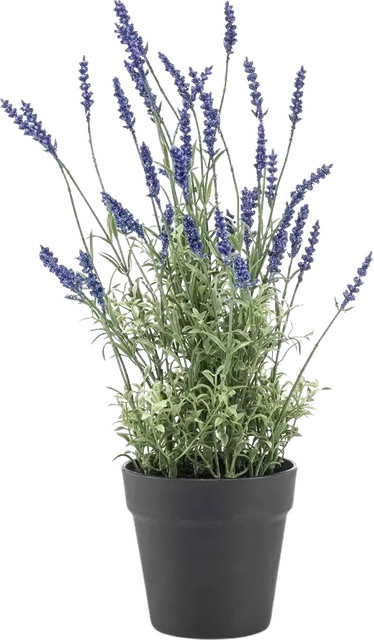 Künstlicher Lavendel Wendelin von Aplanta, Höhe: 50 cm - Bild 1