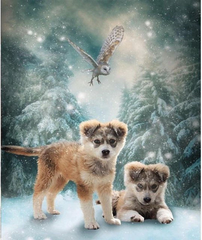 FIYO Diamond Painting Set Zwei Hunde Abstrakt Modern Mehrfarbig B/H: 20 x 30 cm - Bild 1