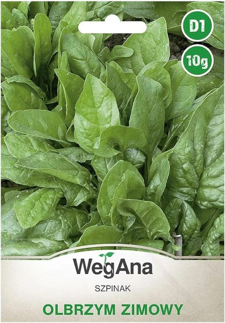 VegAna Riesenspinat Winter Gemüsespinatkerne, 10 g - Bild 1