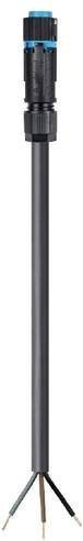 Wieland Electric 46.433.4033.9 Anschlussleitung Schwarz - Bild 1