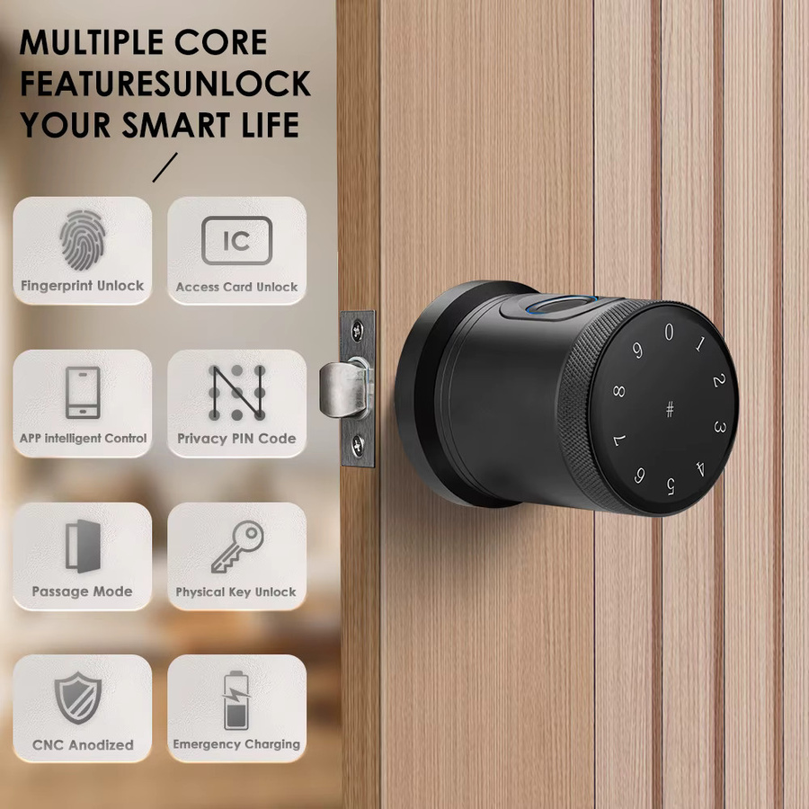 Tuya Smart Bluetooth Elektronisches Türschloss mit LED Touchscreen Tastatur in Schwarz - Bild 2