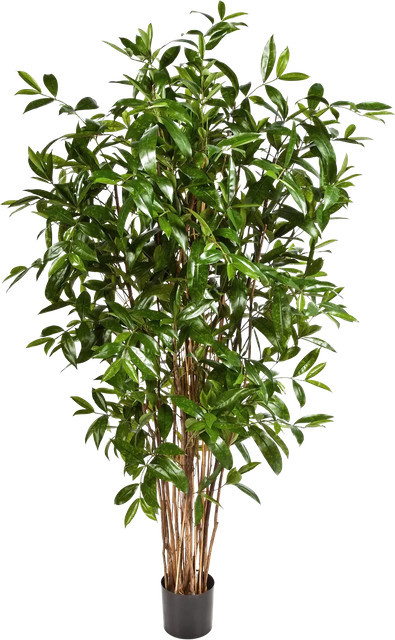 Künstlicher Drachenbaum Ina von Aplanta, Höhe: 180 cm - Bild 1