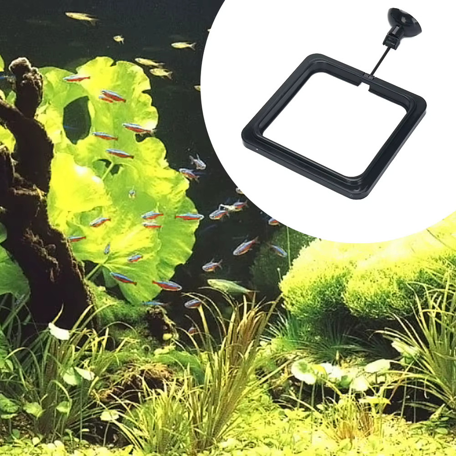 VAKIND Schwimmender Futterring für Aquarienfische in Schwarz - Bild 3
