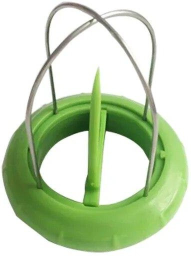 Fast Fruit Kiwi Cutter und Peeler von Love Home Garden in Grün aus Edelstahl und Kunststoff - Bild 1