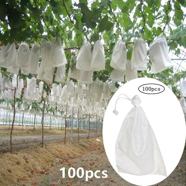 WIKHOSTAR Obstschutzbeutel für Garten und Anzucht, 100 Stück, Grau, B: 20 cm, T: 30 cm - Bild 1