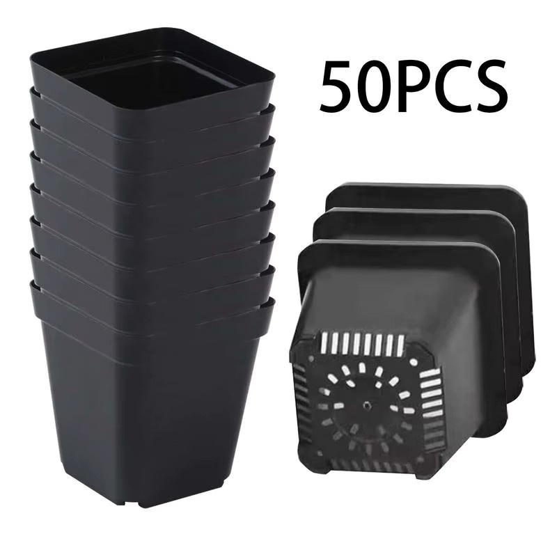 50 Stück quadratische Starter-Töpfe aus Kunststoff in Schwarz für Pflanzen und Sämlinge, B/T/H: 7 x 7 x 7 cm - Bild 4