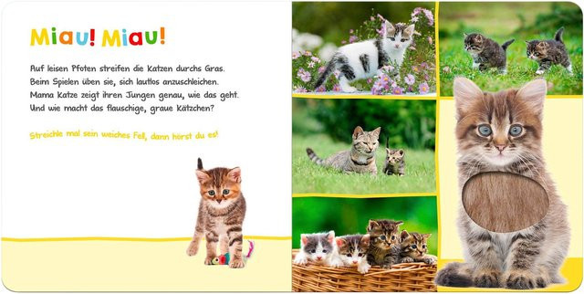 Hör mal rein wer kann das sein? - Lieblingstiere, arsEdition, Pappbilderbuch - Bild 1
