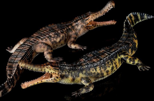 Haolonggood Sarcosuchus Imperator, Spielzeugfigur, 1/35 - Bild 1
