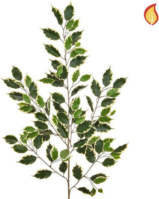 Künstlicher Ficuszweig Carina von Aplanta, Höhe: 100 cm - Bild 1