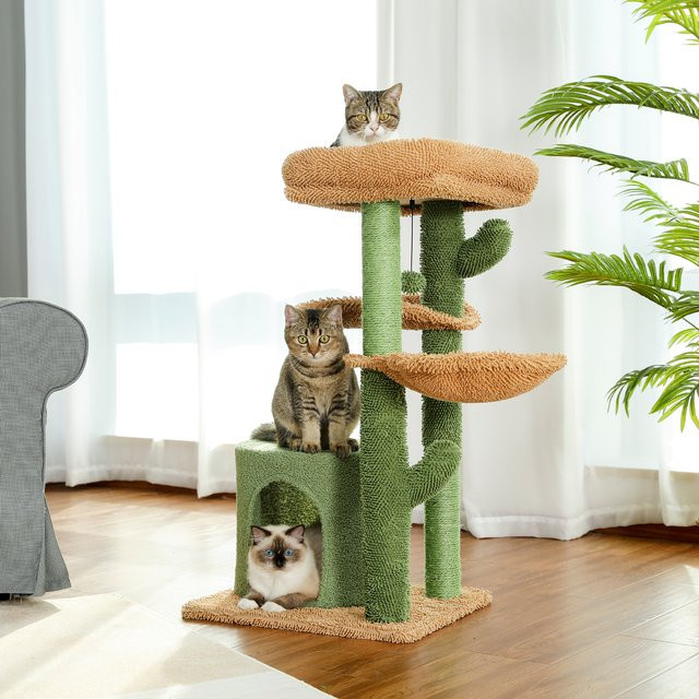 PEQULTI Kaktus-Kratzbaum für Katzen mit Korbliege, Höhle und Sisal-Elementen - Bild 1