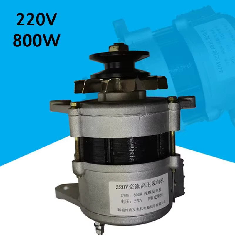 TUNGFULL Hochleistungs-Generator Bürstenlos mit Permanentmagnet und Kupferdrahtkern 220V Wechselstromgenerator in Silber - Bild 4