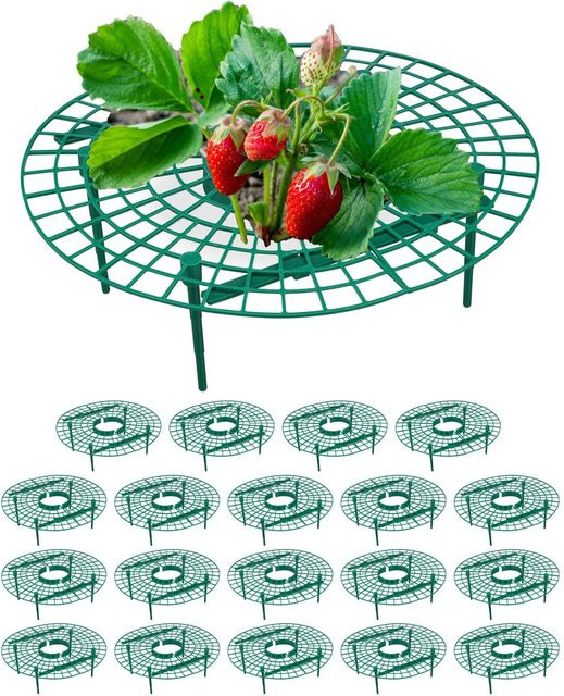 Relaxdays Erdbeerreifer 20er Set aus Kunststoff in Grün als Erdbeerpflanzenstütze und Schneckenschutz für den Garten, Höhe: 30 cm, Breite: 10 cm - Bild 1