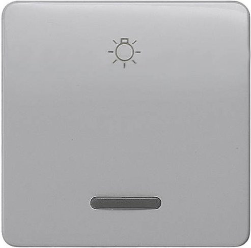 Siemens Schalter 1-fach in Silber 5TG7926 - Bild 1