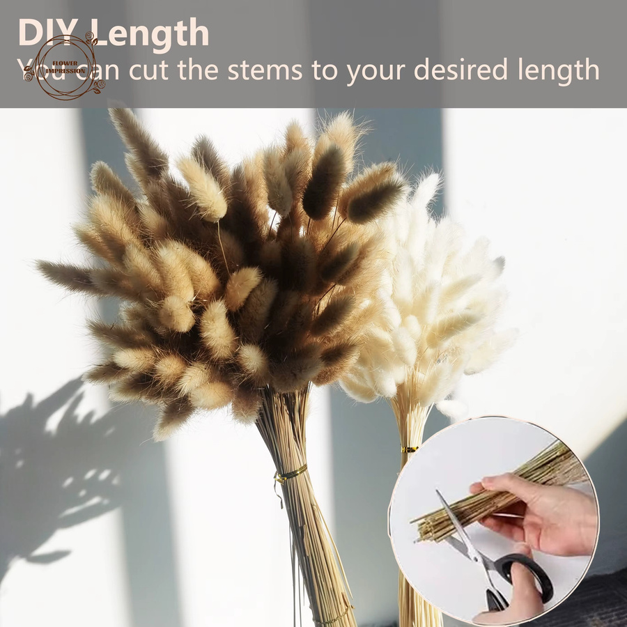 120 Stück getrocknete Kaninchenschwanz-Gräser in Beige als natürliche Boho-Tischdekoration für Hochzeiten und Partys von YN HI FLOWER - Bild 2