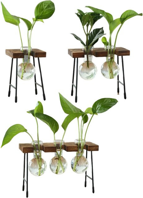 Homyl Hydroponische Glasvase für Tischdekoration, transparente Blumenvase für Wohnzimmer und Esstisch - Bild 1