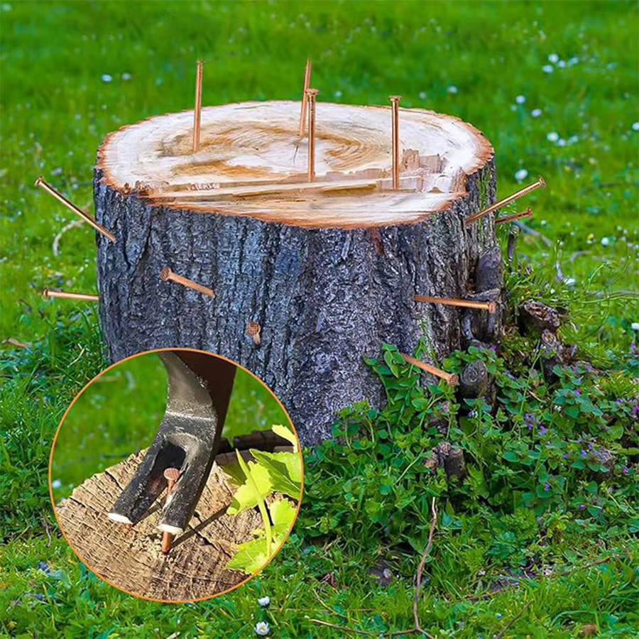 20er-Pack DAZZLEEX Kupfernägel zur Stumpfentfernung von Baumstümpfen und Wurzeln, 10,16 cm lang, Farbe: Kupfer/Messing/Braun - Bild 2