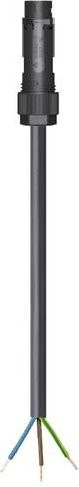 Wieland Electric Anschlussleitung Schwarz 46.433.4004.1 - Bild 1