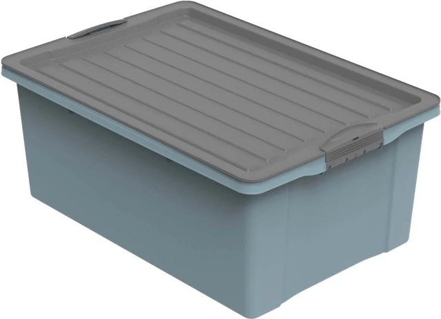 Rotho Stapelbox Compact A3 in Blau - Bild 1