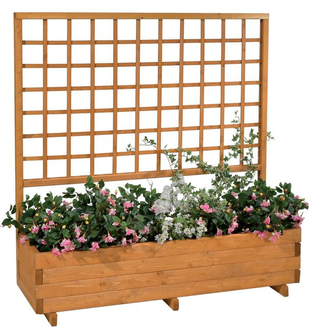 Gaspo Blumenkasten Hellbrunn mit Spalier in Honigbraun, B/T/H: 136 x 37 x 140 cm - Bild 1