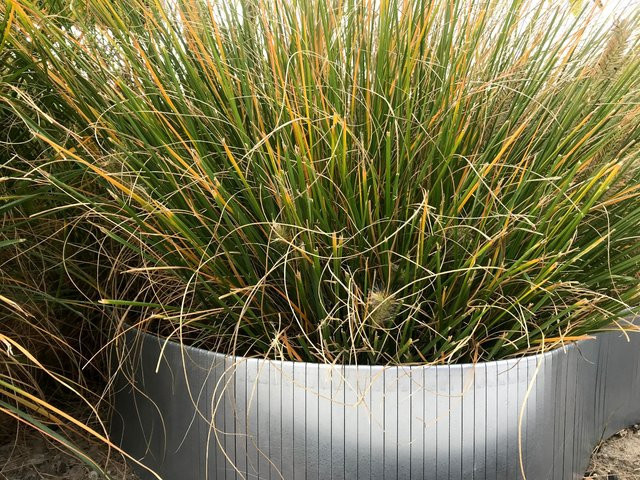 Flexible Beeteinfassung verzinkt B/L: 240 cm, H: 10 cm - Bild 1