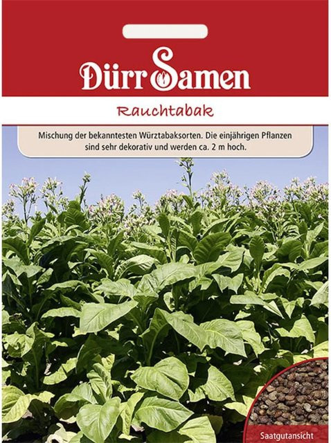 Dürr Rauchtabak Mischung Saatgut für selbstgedrehte Zigaretten und Zigarren - Bild 1