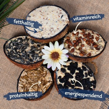Lyra Pet Halbe Kokosnuss mit Topping 3x10 Stück - Bild 2