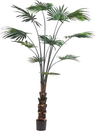 Künstliche Livistona Palme von Aplanta in Terra, Höhe: 180 cm