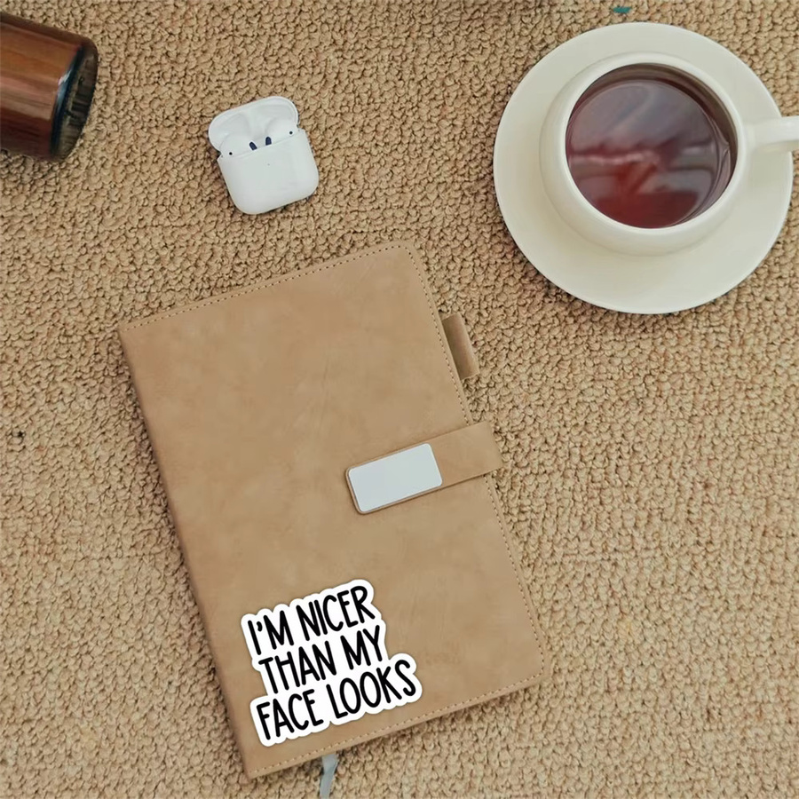 10 lustige Aufkleber I'm Nicer Than My Face Looks für Laptop und Tumbler in ästhetischem Design - Bild 3