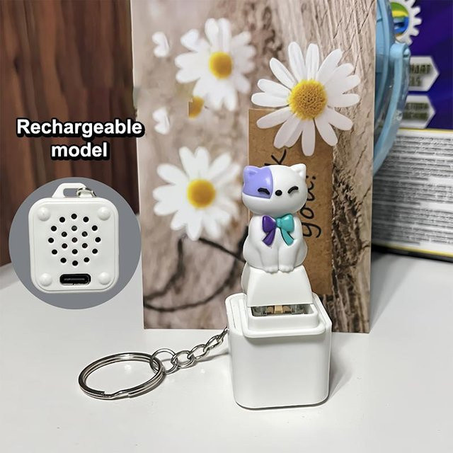 Schlüsselanhänger USB-C, Hund Katze Tastatur Klicker, LED, gray, Unisex - Bild 1