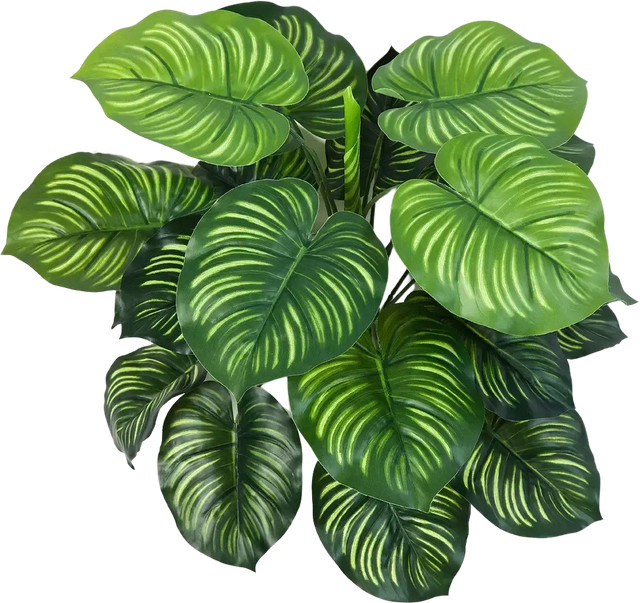 Künstliche Calathea Clara von Aplanta, grün, Höhe: 45 cm - Bild 1